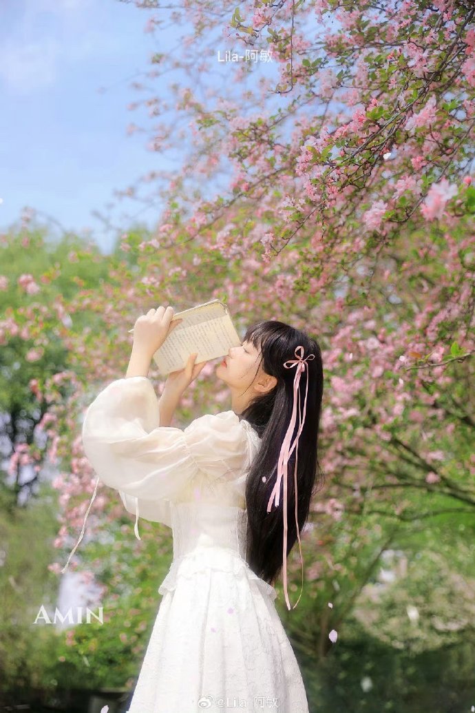 萤火虫之墓 封面