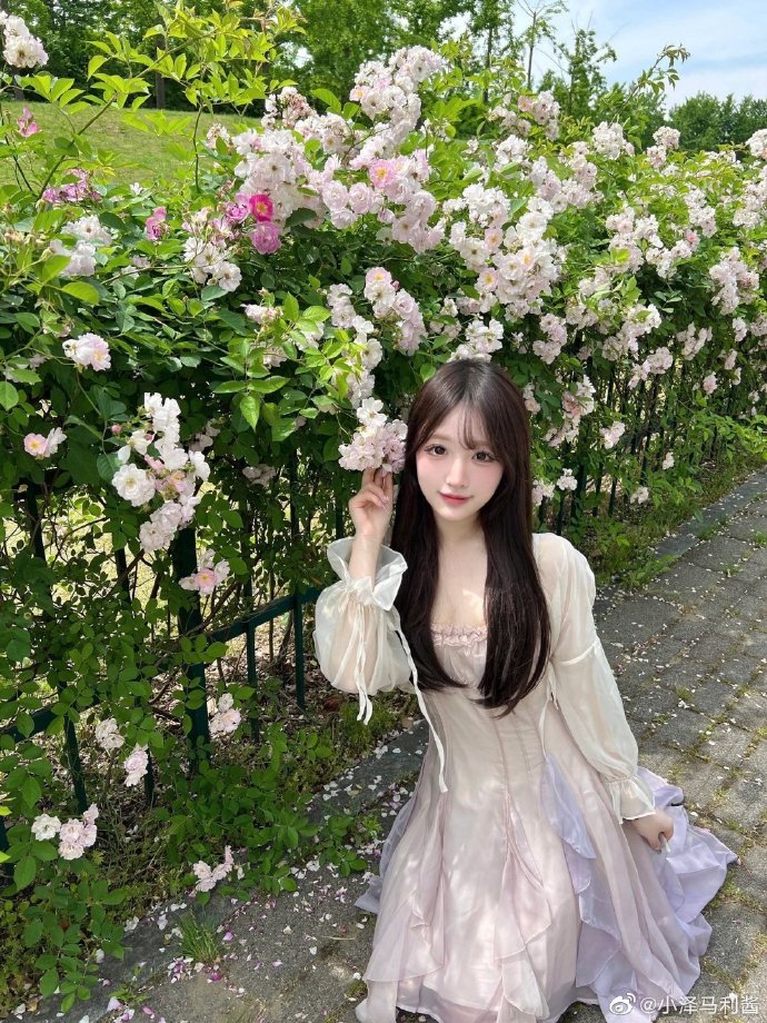 机智的医生生活